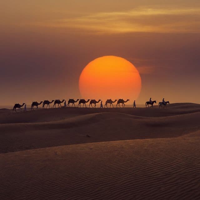 Sunrise Camel Trekking detail 1